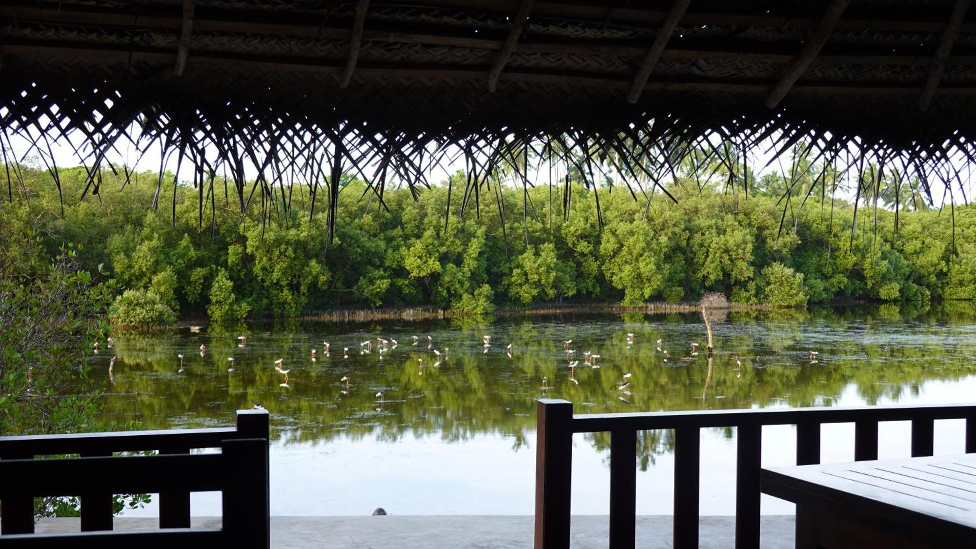 Salt Lake Cabanas & Restaurant Tangalle Ngoại thất bức ảnh