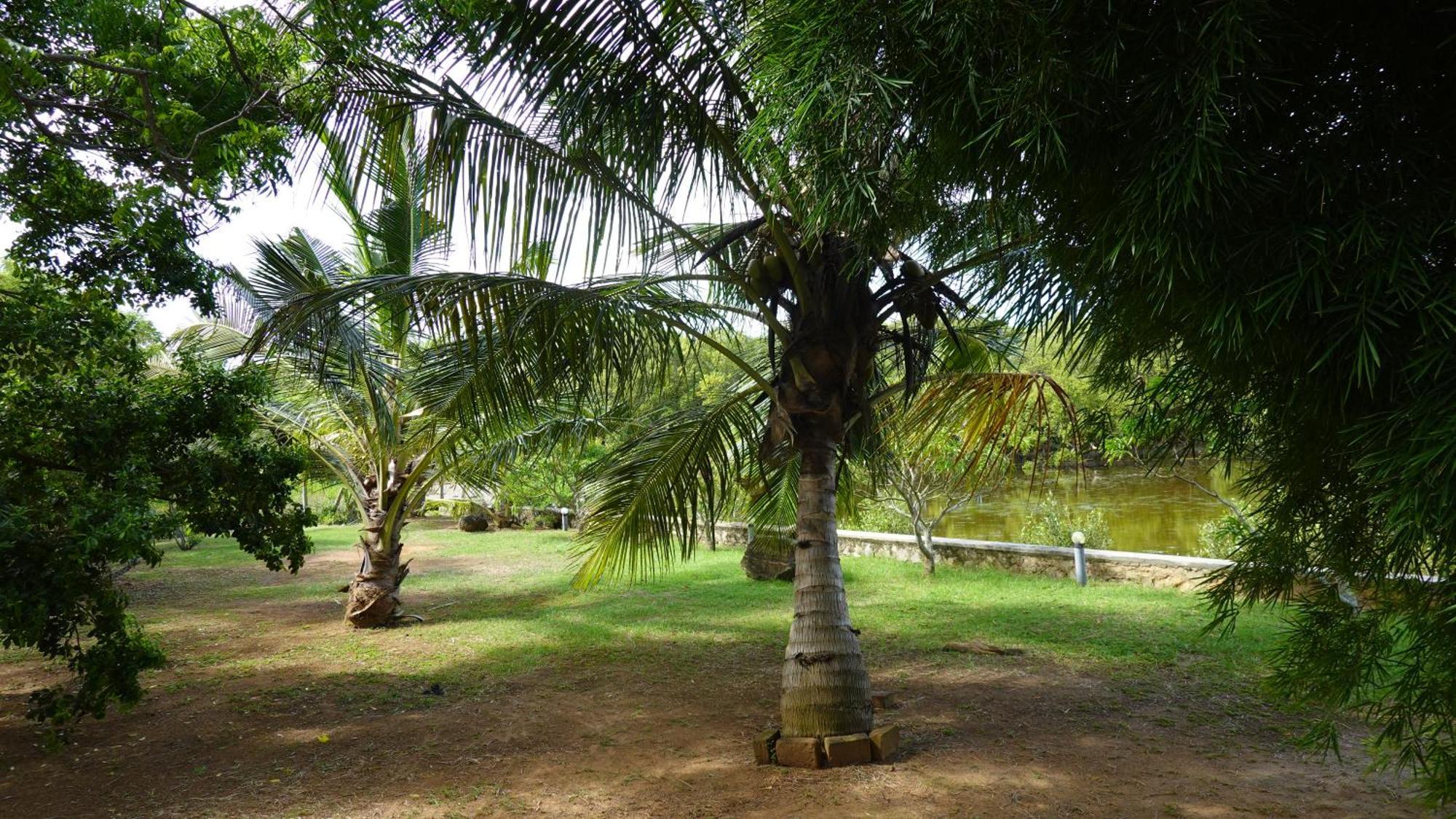 Salt Lake Cabanas & Restaurant Tangalle Ngoại thất bức ảnh